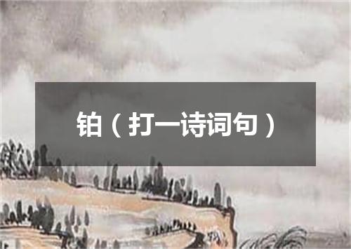铂（打一诗词句）