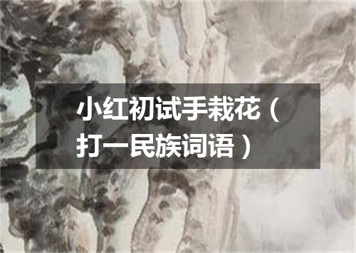 小红初试手栽花（打一民族词语）