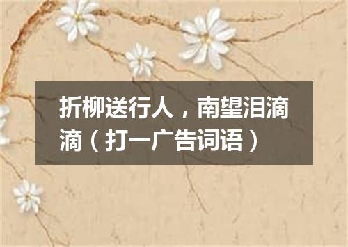 折柳送行人，南望泪滴滴（打一广告词语）