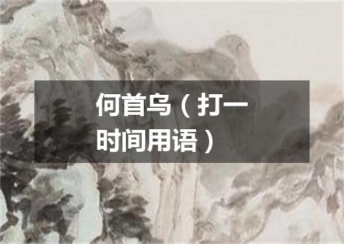 何首乌（打一时间用语）