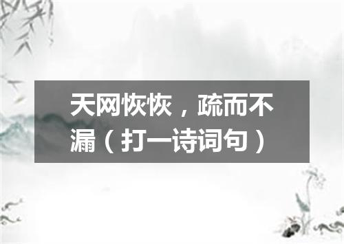 天网恢恢，疏而不漏（打一诗词句）