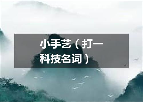 小手艺（打一科技名词）
