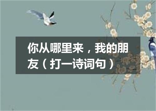 你从哪里来，我的朋友（打一诗词句）