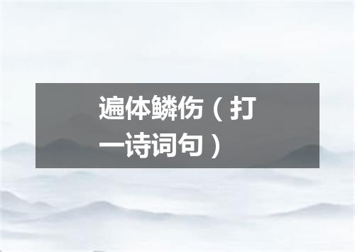 遍体鳞伤（打一诗词句）