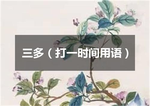 三多（打一时间用语）