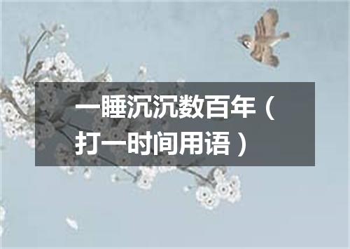 一睡沉沉数百年（打一时间用语）