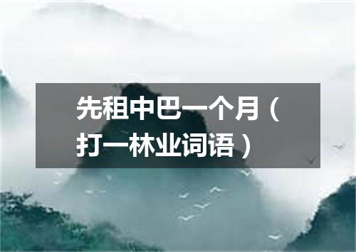 先租中巴一个月（打一林业词语）