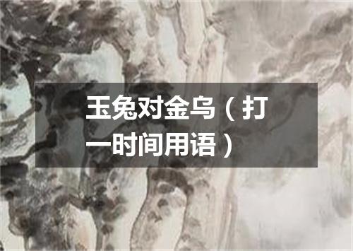 玉兔对金乌（打一时间用语）