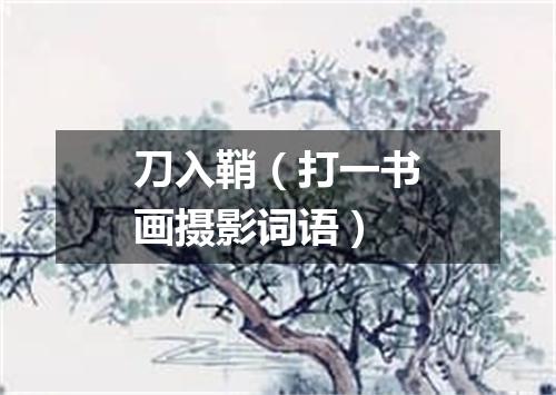 刀入鞘（打一书画摄影词语）