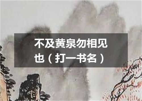 不及黄泉勿相见也（打一书名）