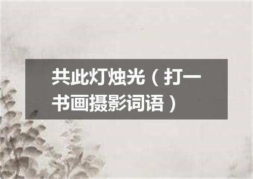 共此灯烛光（打一书画摄影词语）