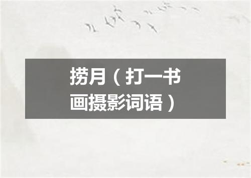 捞月（打一书画摄影词语）