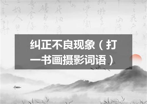 纠正不良现象（打一书画摄影词语）