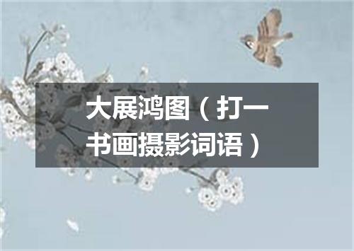 大展鸿图（打一书画摄影词语）
