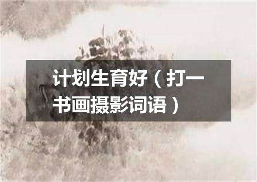 计划生育好（打一书画摄影词语）