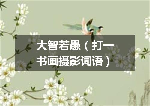 大智若愚（打一书画摄影词语）
