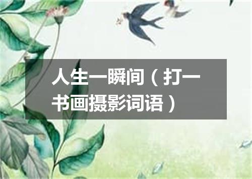 人生一瞬间（打一书画摄影词语）
