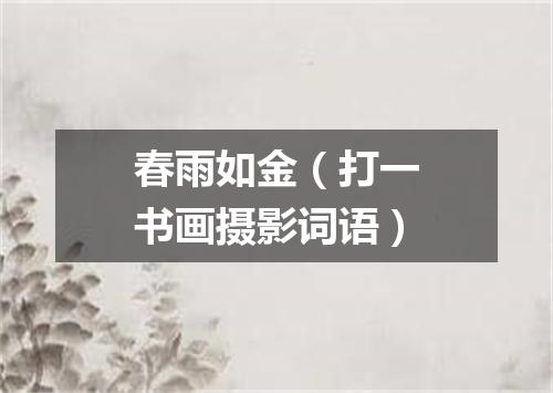 春雨如金（打一书画摄影词语）