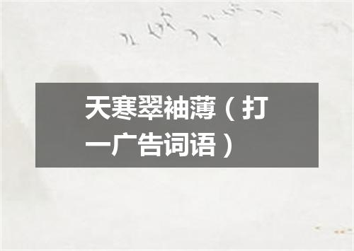 天寒翠袖薄（打一广告词语）