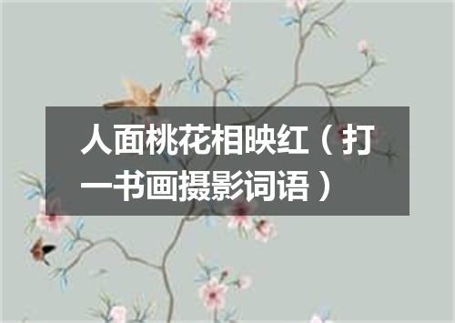 人面桃花相映红（打一书画摄影词语）