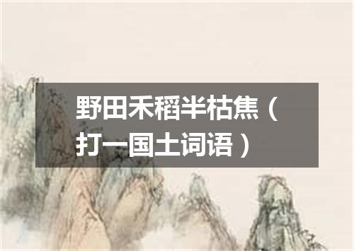 野田禾稻半枯焦（打一国土词语）