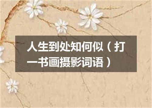 人生到处知何似（打一书画摄影词语）