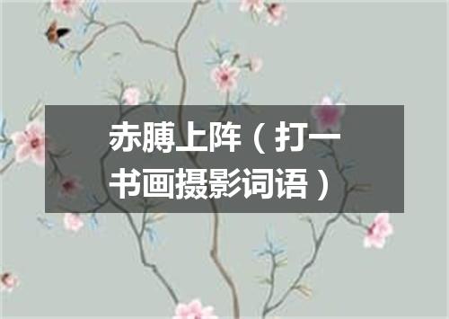 赤膊上阵（打一书画摄影词语）