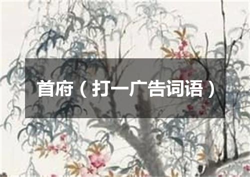 首府（打一广告词语）