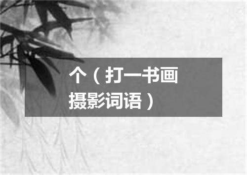个（打一书画摄影词语）