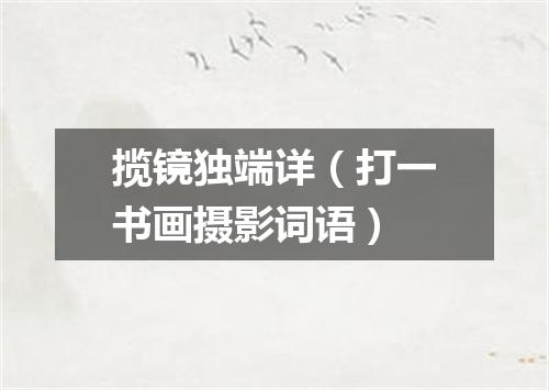 揽镜独端详（打一书画摄影词语）