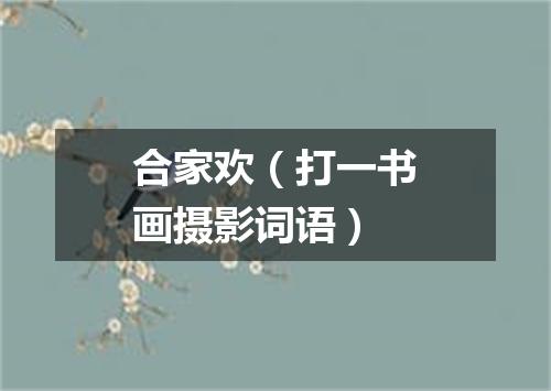 合家欢（打一书画摄影词语）