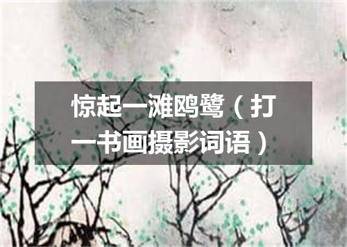 惊起一滩鸥鹭（打一书画摄影词语）