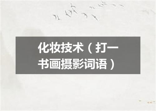 化妆技术（打一书画摄影词语）