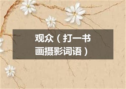 观众（打一书画摄影词语）