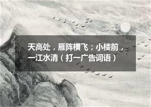 天高处，雁阵横飞；小楼前，一江水清（打一广告词语）