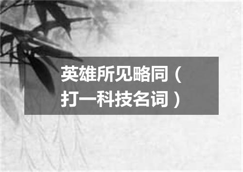 英雄所见略同（打一科技名词）