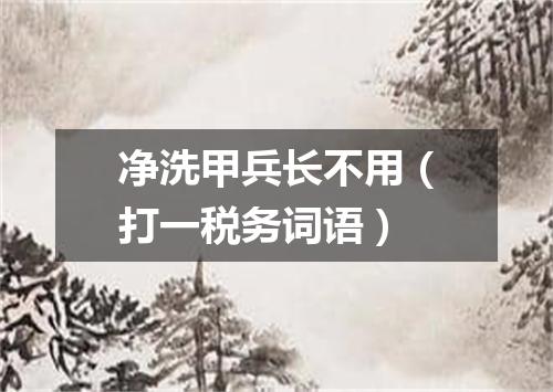 净洗甲兵长不用（打一税务词语）