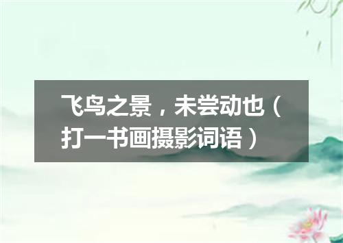 飞鸟之景，未尝动也（打一书画摄影词语）
