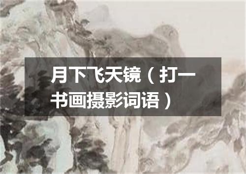 月下飞天镜（打一书画摄影词语）