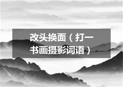改头换面（打一书画摄影词语）