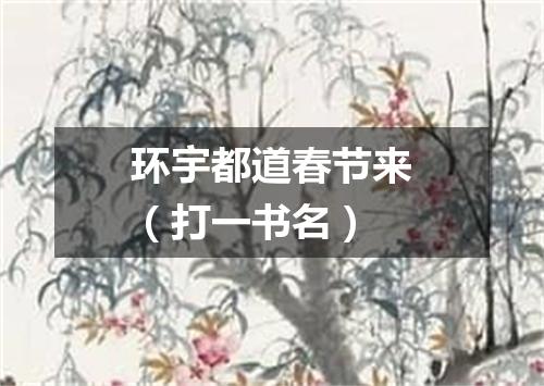 环宇都道春节来（打一书名）