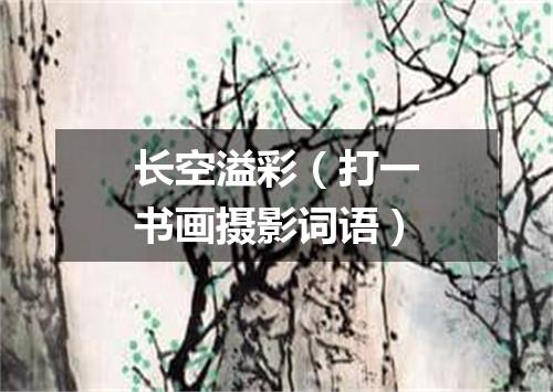 长空溢彩（打一书画摄影词语）