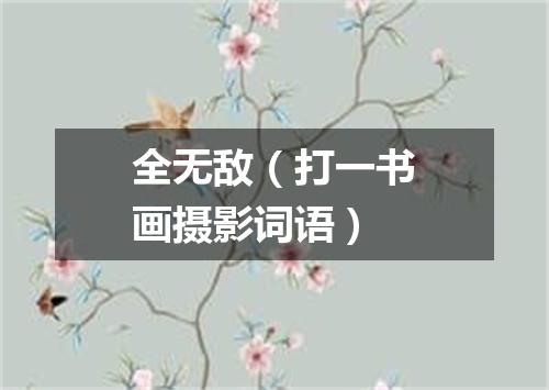 全无敌（打一书画摄影词语）