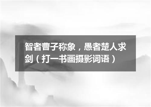 智者曹子称象，愚者楚人求剑（打一书画摄影词语）