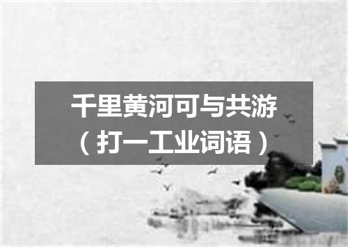千里黄河可与共游（打一工业词语）