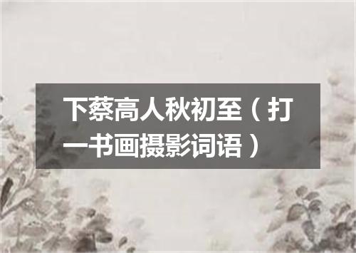 下蔡高人秋初至（打一书画摄影词语）