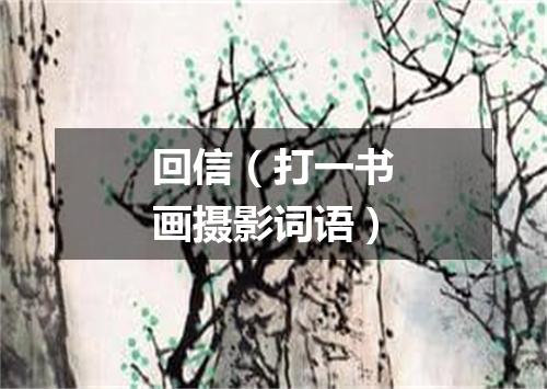 回信（打一书画摄影词语）
