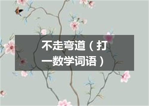 不走弯道（打一数学词语）