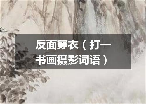 反面穿衣（打一书画摄影词语）