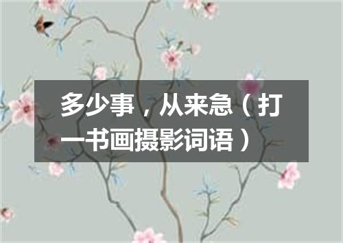 多少事，从来急（打一书画摄影词语）